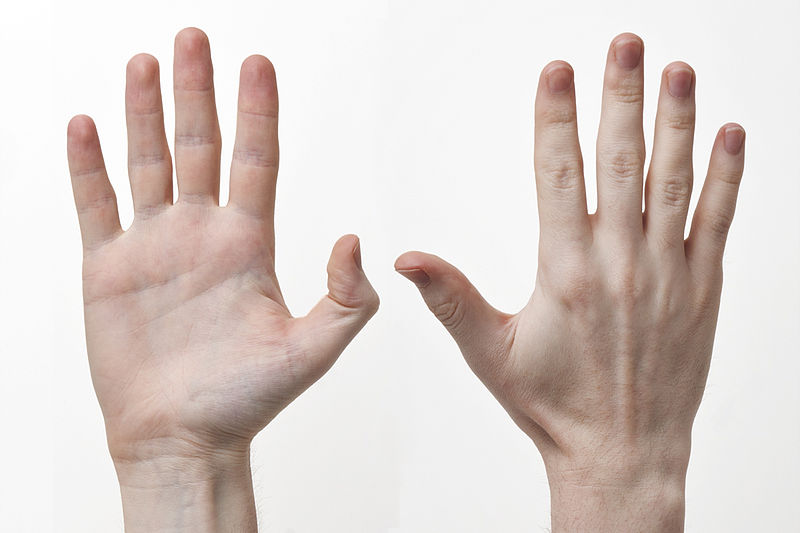 Studies Show More left-handed men are born during the winter